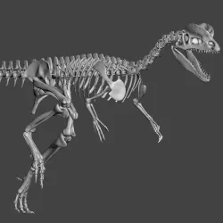 Dilophosaurus dinosaur complete skeleton