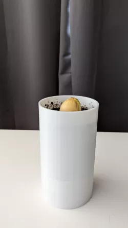 flower pot V1