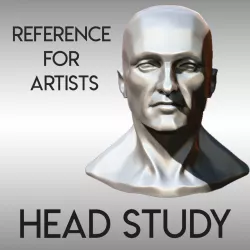 HEAD STUDY FOR REFERENCE