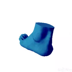 Human foot not wearing sock