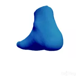 Human foot with sock on