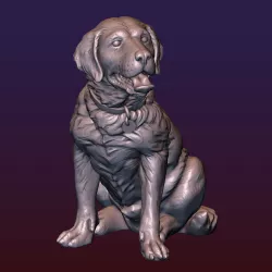 Labrador