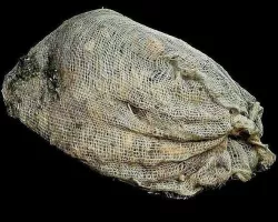 Leaf Sack 3D Model