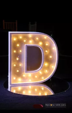 LED LETTER D