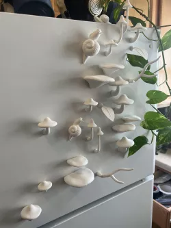 Mushroom garden magnet set