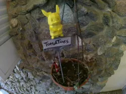 pokemon! pikachu model garden tag stake