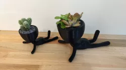 Pose Planter Pack 1