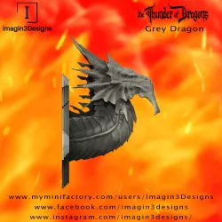 PRE-SUPPORTED Hayiz'kathix -Demon of the Mist- The Grey Dragon