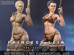 Princess Leia Bust - Star Wars
