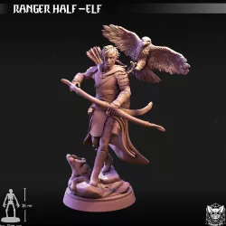 Ranger Half Elf