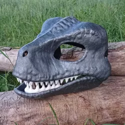 RAPTOR MASK