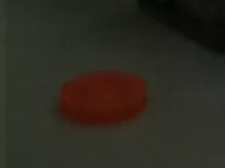 shock chips