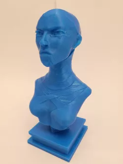 Star Wars Asajj Ventress bust