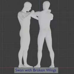 THAI BOXING ARTS : #12 Swan with Broken Wings