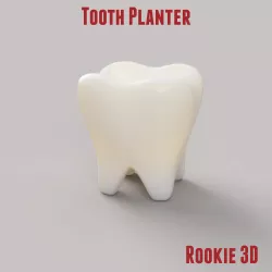 Tooth Planter with expressions (Tooth Pot)