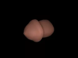 toothpaste cap penis