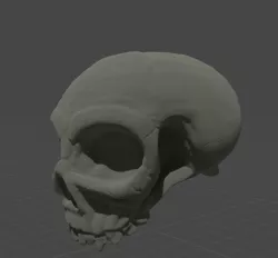 Vampire Skull