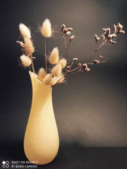 VASE VASE