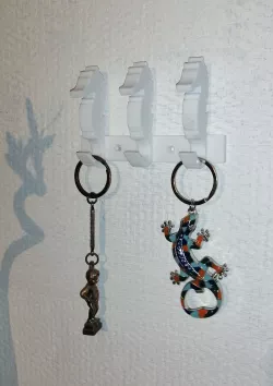 Wall-mounted key ring