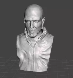 Walter white ispired bust