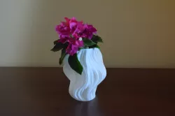Zephyr’s Kiss (Fractal vase - Julia set)