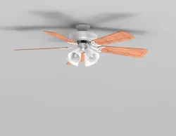 Ceiling Fan