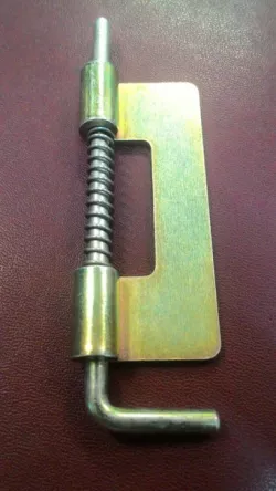 Hinge with Spring and Retainer Ring
