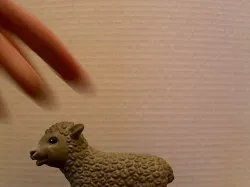 Lamb