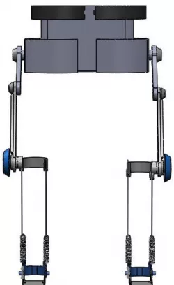 Medical Skeleton