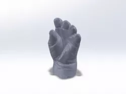Need Help with STL for Prosthesis
