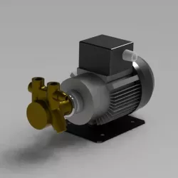 Rotary Vane Pump