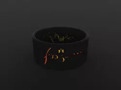The ring of power