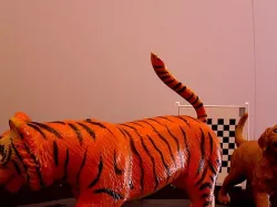 Tiger Tiger