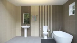Toilet Design Concept