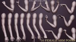 16 female arm poses