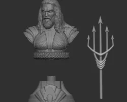 Aqua man Bust001