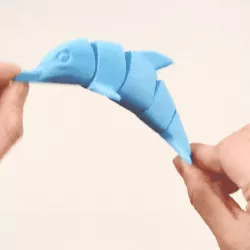 Artic Dolphin
