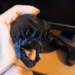 articulated skull (moving jaw) Print-in-place