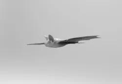 Bat