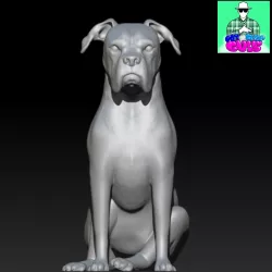 Boxer Breed Dog