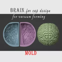 Brain Cap Mold_Vacuum forming