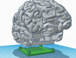 Brain case orange pi zero 2
