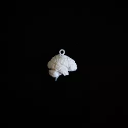 Brain Keychain