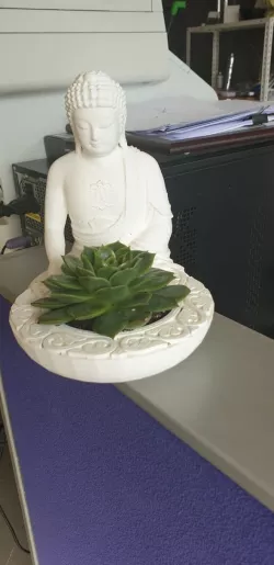 buda pot