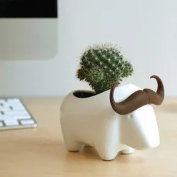 buffalo pot