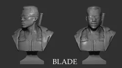 Bust Blade - 3D Print