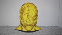 Bust venom