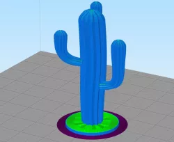 CACTUS