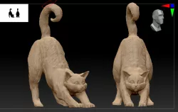 Cat 3