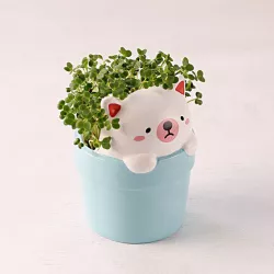 Cat bonsai flowerpot